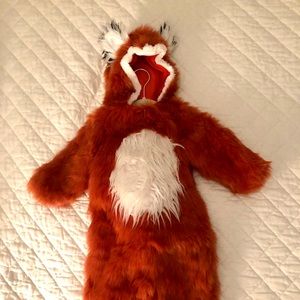 Pottery Barn Kids Woodland Baby Fox Costume